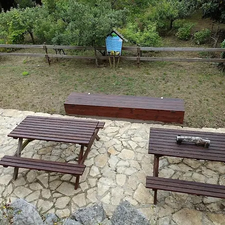 Holiday home Quinta Do Castelo, Madeira *
