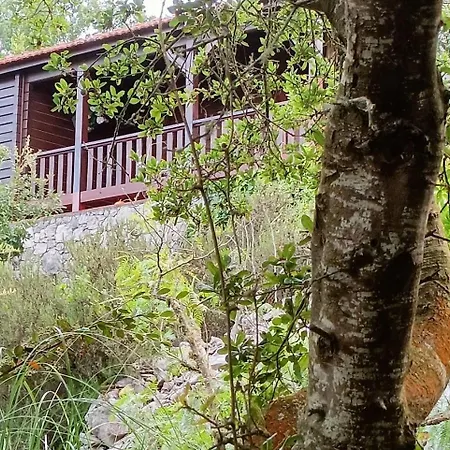 Holiday home Quinta Do Castelo, Madeira Olho Marinho