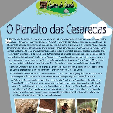Holiday home Quinta Do Castelo, Madeira