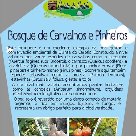 Quinta Do Castelo, Madeira Holiday home *