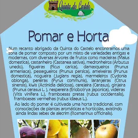 Holiday home Quinta Do Castelo, Madeira *